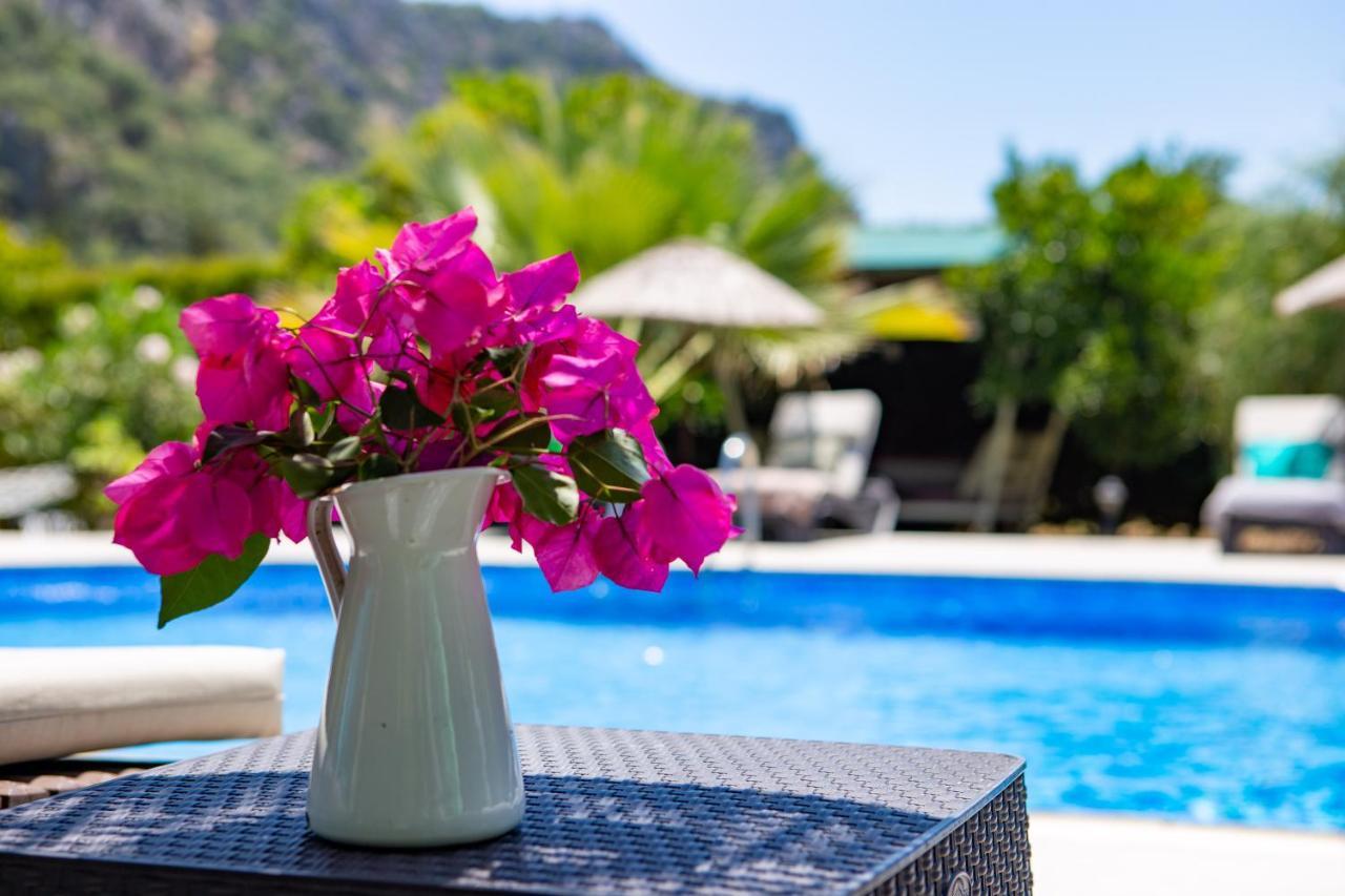 Portalimo Lodge Hotel - Adult Only +12 Çıralı Exteriér fotografie