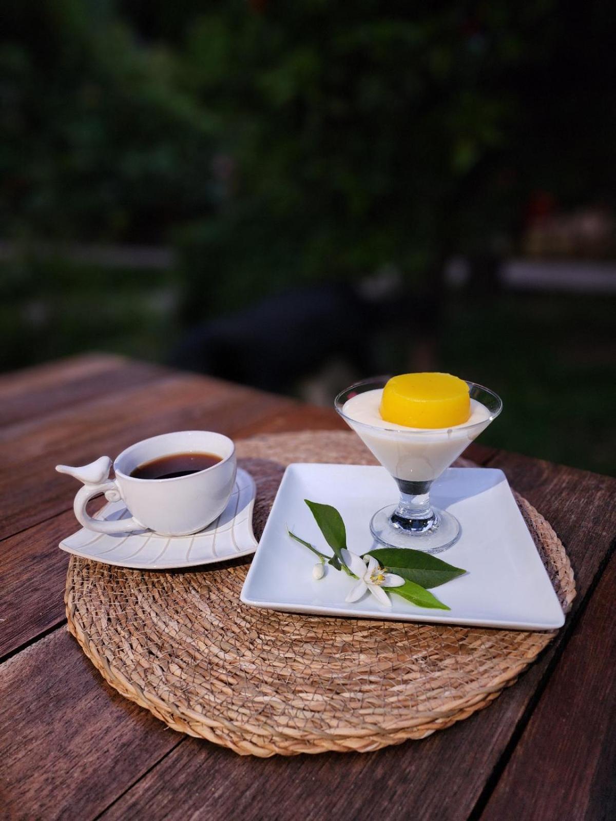 Portalimo Lodge Hotel - Adult Only +12 Çıralı Exteriér fotografie