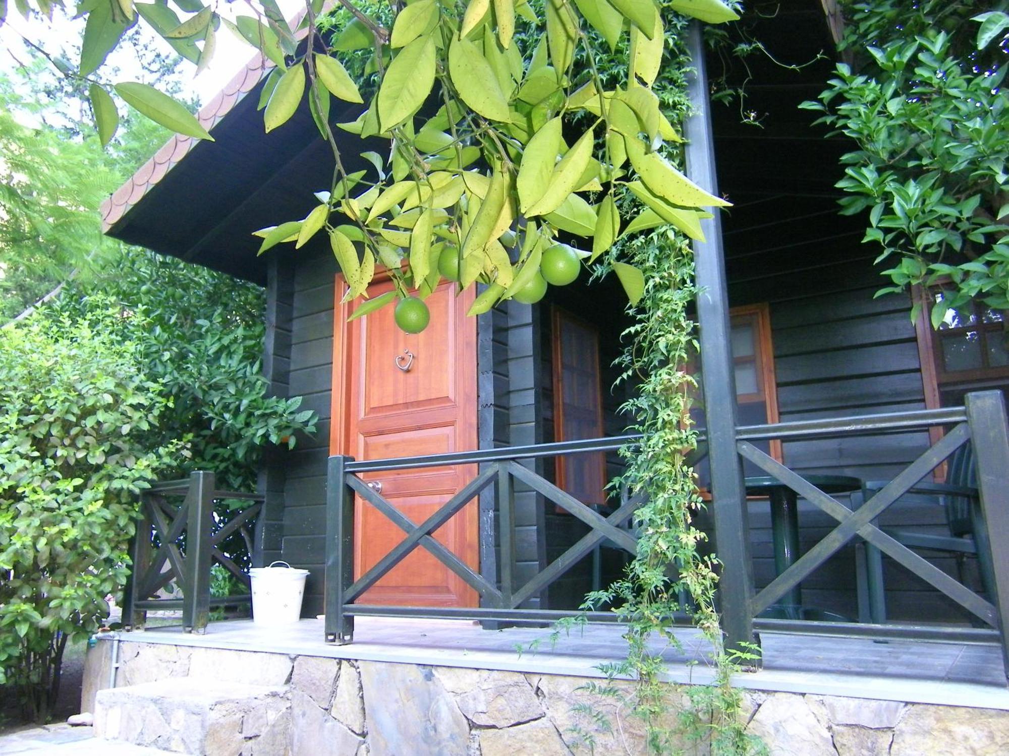 Portalimo Lodge Hotel - Adult Only +12 Çıralı Exteriér fotografie