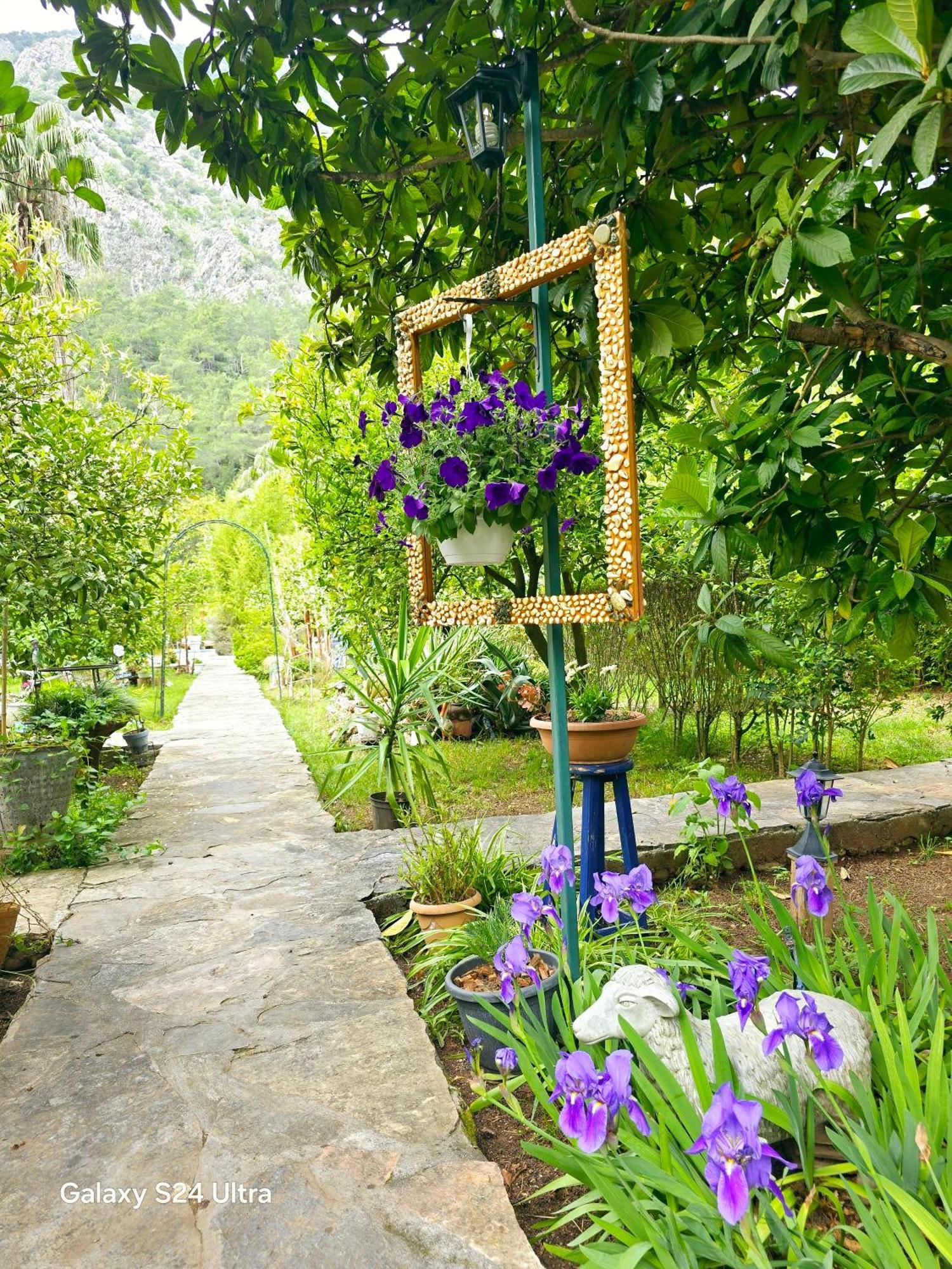 Portalimo Lodge Hotel - Adult Only +12 Çıralı Exteriér fotografie