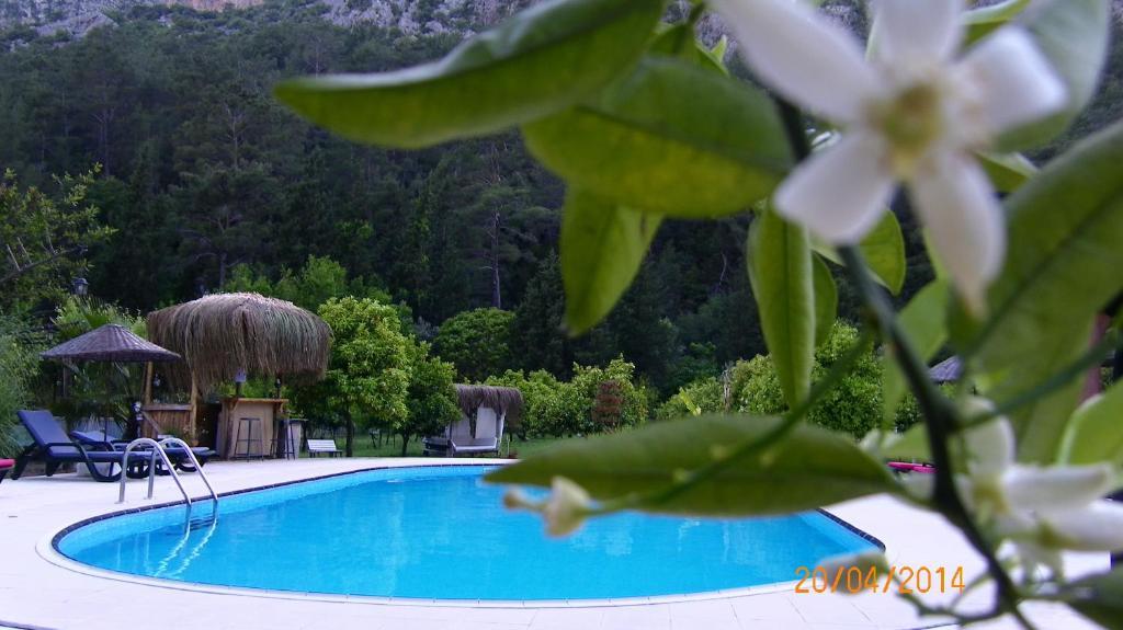 Portalimo Lodge Hotel - Adult Only +12 Çıralı Exteriér fotografie