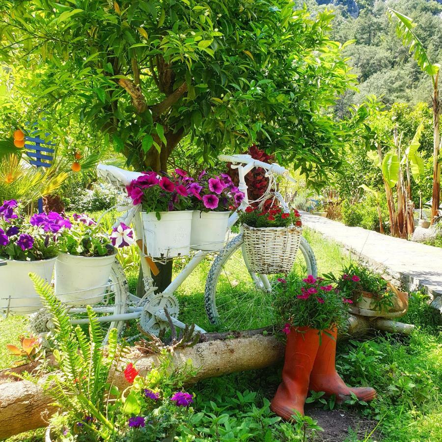 Portalimo Lodge Hotel - Adult Only +12 Çıralı Exteriér fotografie
